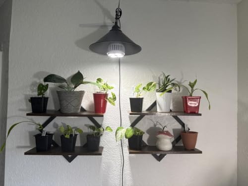 2 Pack Floating Wall Shelves Plant Holders, Brown - color: Rustic Brown-2pack