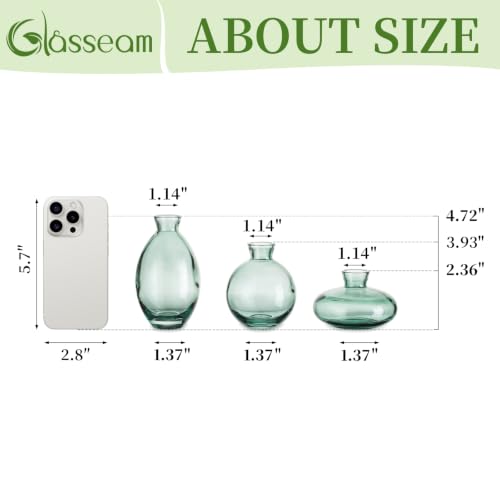 Glasseam Glass Bud Vase for Centerpieces: 12Pcs Green Mini Small Vases Bulk - color: Green, size: 4 Sets