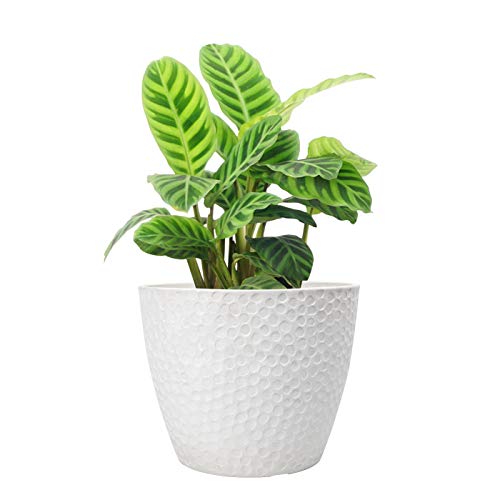 LA JOLIE MUSE Planter Pot, Outdoor Flower Pot, 9.4 Inch Decorative Planter - color: White