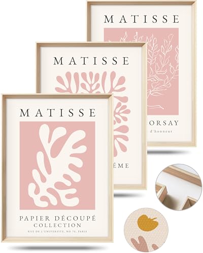 Framed Matisse Pink Wall Art Set of 3, Abstract Canvas Prints - color: Framed Matisse Pink, size: 16"L x 12"W