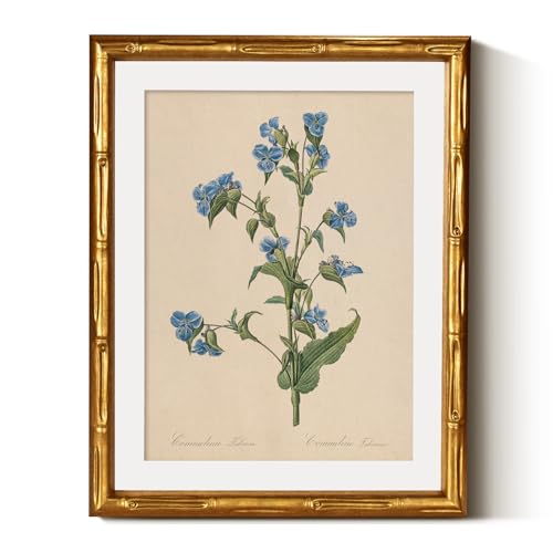 InSimSea Gold Bamboo Framed Wall Art,Blue Myosotis Botanical Print,11x14In - color: Myosotis