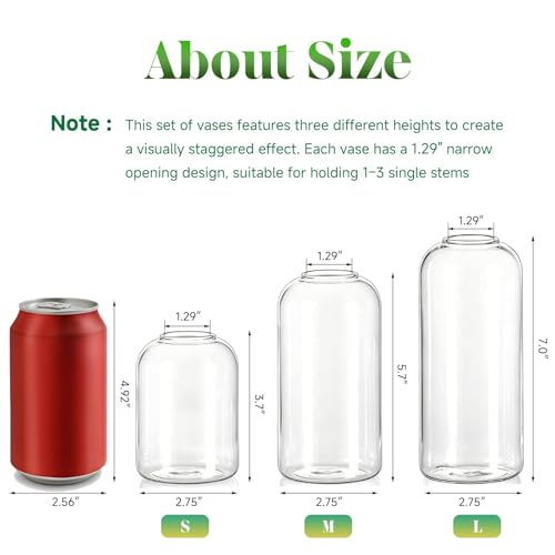 Glasseam Glass Bud Vases for Centerpieces, 3Pcs Modern Clear Small Vase Set - color: Clear