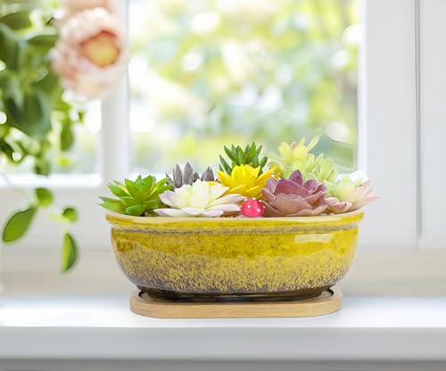 Succulent Pots, 1 Rectangle Planter + 1 Ceramic Bonsai Pots with Drain Tray - color: Yellow