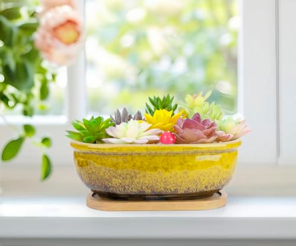 Succulent Pots, 1 Rectangle Planter + 1 Ceramic Bonsai Pots with Drain Tray - color: Yellow