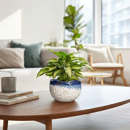Ceramic Plant Pots, 6 Inch Orchid Pot with Drainage, Beige-Blue - color: Beige-blue, size: 6.2 Inch
