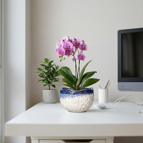 Ceramic Plant Pots, 6 Inch Orchid Pot with Drainage, Beige-Blue - color: Beige-blue, size: 6.2 Inch