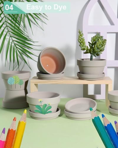 vensovo 4.5 Inch Grey Terracotta Succulent Pots with Saucers, 6 Pack - color: Gray, size: 4.5 Inch