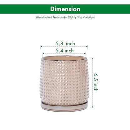 D'vine Dev Beaded Ceramic Pot with Saucer, 6 in, Light Brown, 27-C-X-4 - color: Light Brown, size: 5.8 Inch