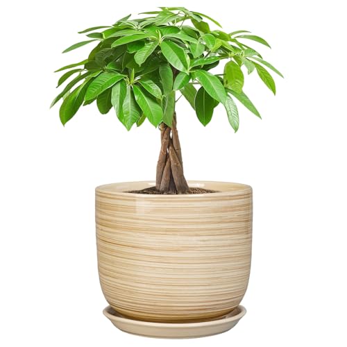 Ceramic Planter for Indoor Plants 7 Inch - Cylinder Modern Indoor Plant Pot with Drainage Hole and Saucer, Home Patio Office Bathroom Decor, Yellow - color: Stripes Yellow, size: 7 Inch