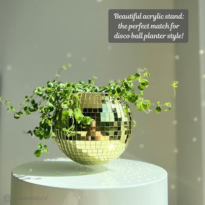 SCANDINORDICA Disco Ball Planter, Value Package, 8-inch Gold - size: 8" Gold