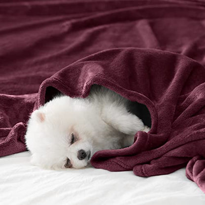 BEAUTEX Fleece Blanket King Size Soft Flannel Throw Lightweight Fuzzy - color: Wine, size: King