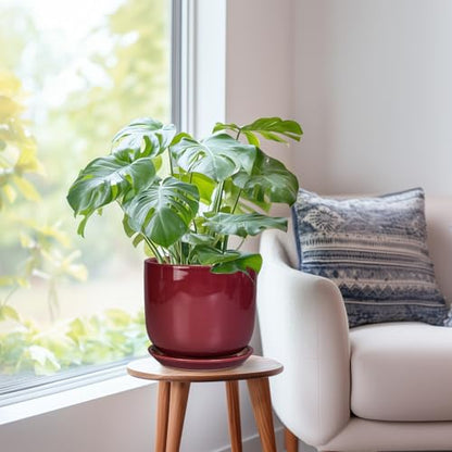Ceramic Flower Pot for Plants, 8 Inch Plant Pot, Red - color: Red, size: 8 Inch