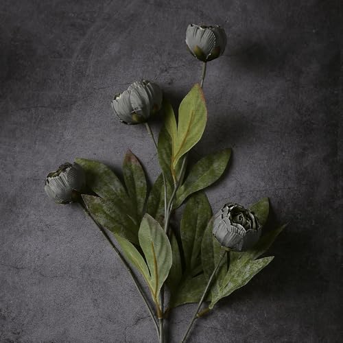 6 Pcs 27" Faux Silk Peony Artificial Flowers Stems for Vase (Dark Gray) - color: Dark Gray