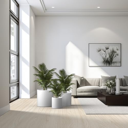 Kante RC0119ABC-C80011 Set of 3 Lightweight Concrete Modern Cylinder Outdoor Planters, 15.8, 12.9 and 9.8 Inch Diameter, Pure White - color: Pure White, size: 9.8",12.6",15.7" Dia