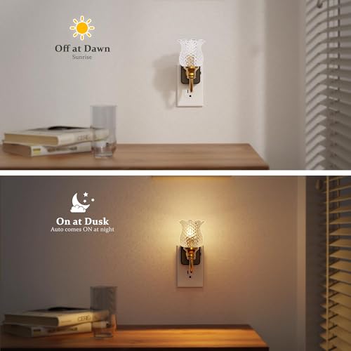 JandCase Night Light, Glass Night Lights Plug into Wall 2 Pack - color: Spotted Flower