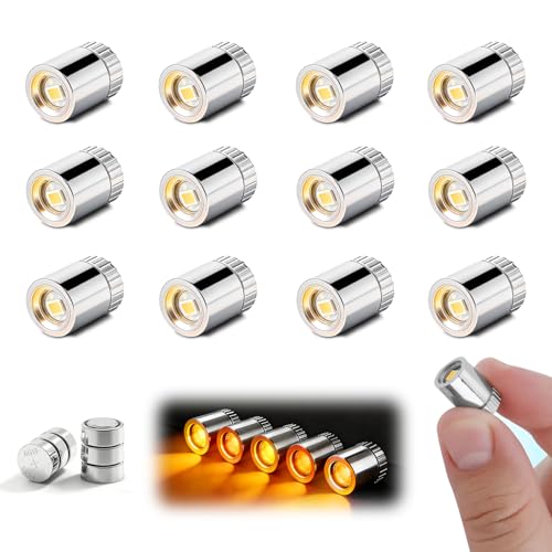 Aogist 24 PCS Warm White Mini LED Spot Lights, Battery Operated Tiny Lamps - color: Warm White, size: 24