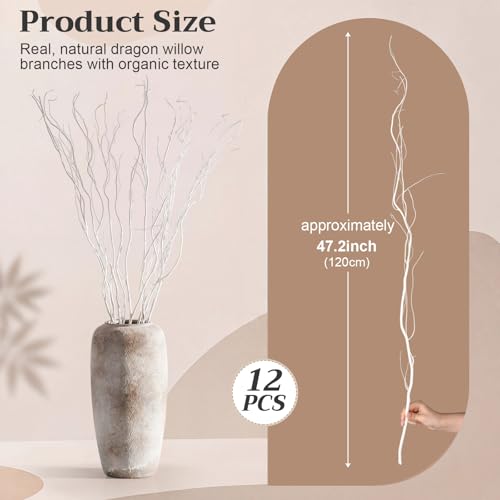Thiccywoov 12 Pcs Real Dried Willow Branches 47.2 Inches Natural Curly - color: White, size: 47.2 Inches