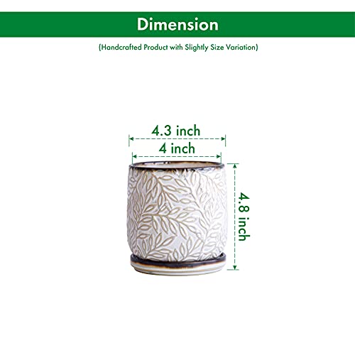 D'vine Dev Embossed Leaves Ceramic Planter, 4 in, Smoked White, 27-A-Z-1 - color: Smoked White, size: 4 Inch