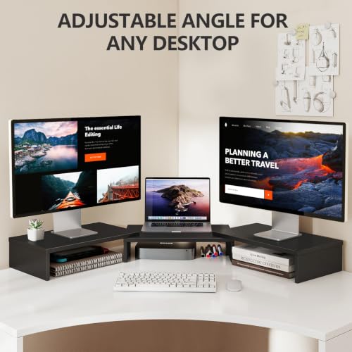 TAVR Monitor Stand Riser, Office Desktop Organizer Stand for 2 Monitors - color: Black