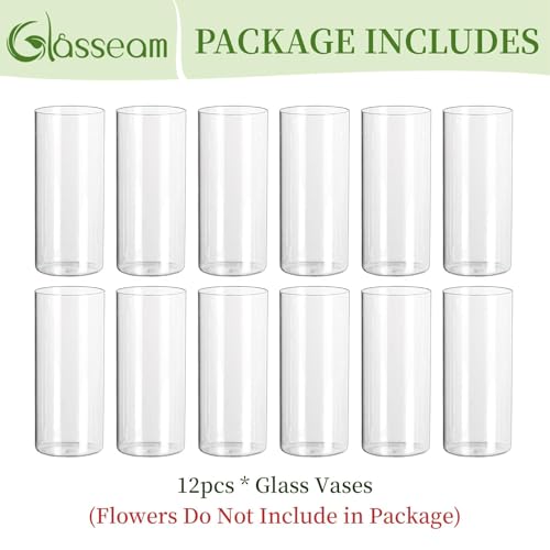 Glasseam Glass Cylinder Vase for Centerpiece, 12Pcs Small Clear Flower Vase - size: 8In