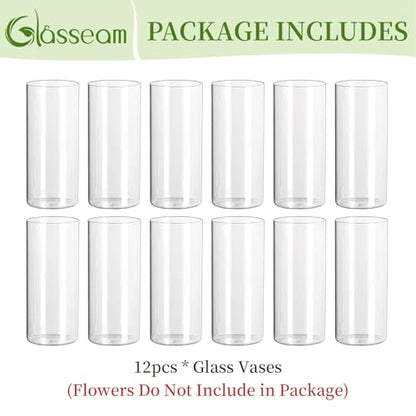 Glasseam Glass Cylinder Vase for Centerpiece, 12Pcs Small Clear Flower Vase - size: 8In