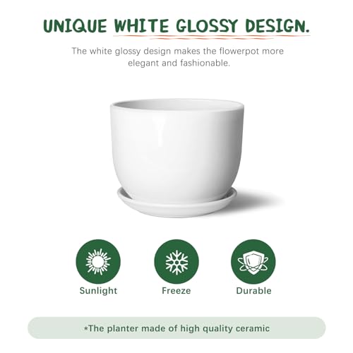 8 Inch Ceramic Plant Pot,Ceramic Planter,White - size: 8 Inch 1 Pc