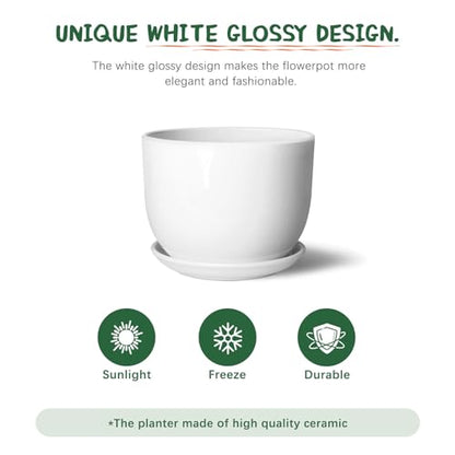 8 Inch Ceramic Plant Pot,Ceramic Planter,White - size: 8 Inch 1 Pc
