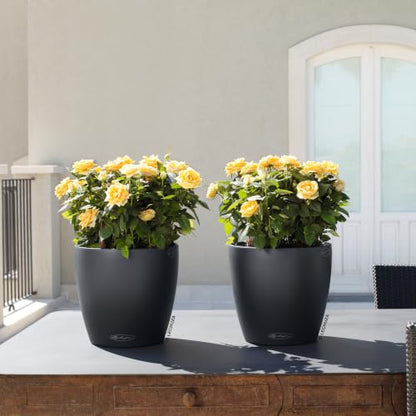 LECHUZA Classico Color 35 Slate, Self-Watering Round Planter, D13.8 H11.8 in, Slate Matt - color: Slate Matte, style: 35