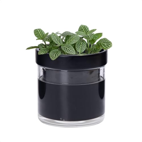 Phoenix Vine 4 Inch Self Watering Terracotta Planter, Black Terracotta Clay Pot with Glass Reservoir for Indoor Plants, Herbs, Flowers, Set of 1, 52-C-E-1 - color: Black, size: 4" (1 Pack)