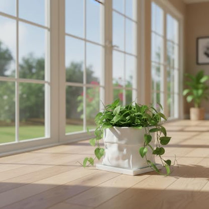 Nihow 8 Inch Ceramic Plant Pot with Drainage & Square Saucer,White - color: White, size: 8 Inch