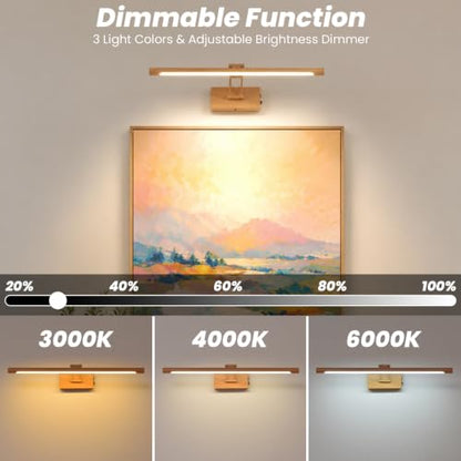 Battery Operated Picture Light for Wall,Wood Finish 23.6-Inch - color: Wood Finish, size: 23.6 Inch