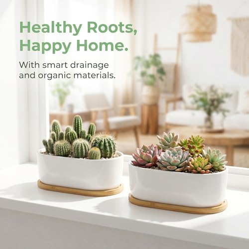 2 Pack Oval White Ceramic Succulent Planters with Bamboo Tray