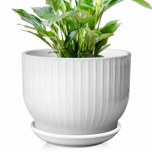 8 Inch Ceramic Plant Pot,White - color: Pure White, size: 8 Inch(1 PCS)