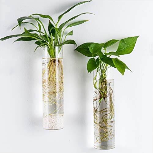 Kingbuy Plant Propagation Station Wall Mounted, 4 Glass Tubes - color: Long Cylinder