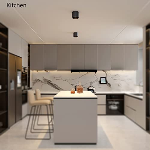 Ceiling Light Fixture, Flush Mount Ceiling Lights LED Dimmable Cylinder Ceiling Light Spot Light for Living Room Hallway Kitchen Dining Room Foyer 3000K 14.5W (Black) - color: Black 1pack
