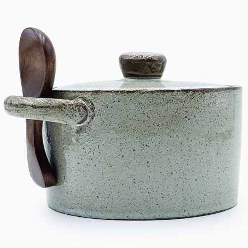 12 oz Ceramic Salt Cellar with Lid & Wooden Spoon,Countertop Salt Container,Sugar Bowl,Spices Jar| Artisan Kitchen Decor(Coarse Pottery) - color: Coarse Pottery B
