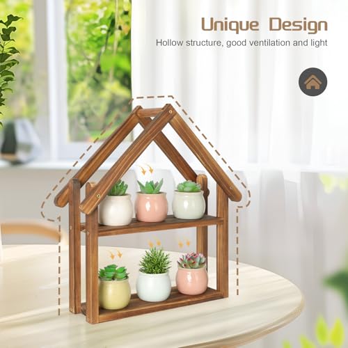 Jotsport Small Windowsill Plant Stand Desktop Succulents Holder