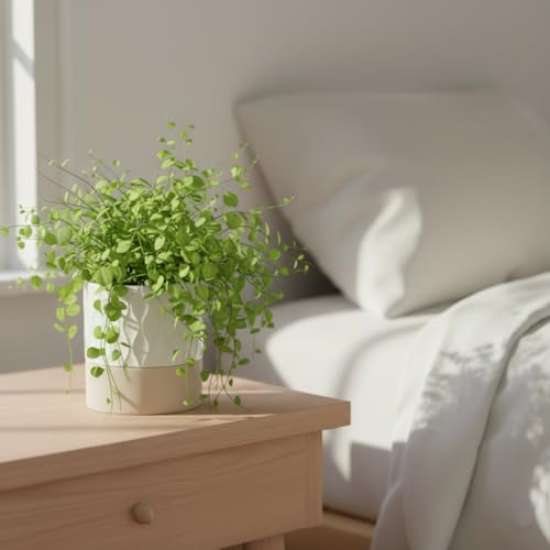 Nihow Self Watering Ceramic Plant Pot, 4.5 Inch, Cream White & Brown Net - color: Cream White & Brown Net, size: 4.5" Self Watering