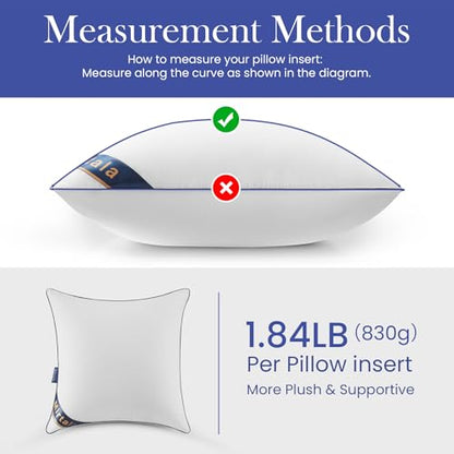 Mirtala 20"x20" Pillow Inserts Set of 2 with 100% Cotton Cover Decorative Square Throw 20" Pillows Living Room, Sofa, Couch, and Bed-White - size: 20 x 20 Inch