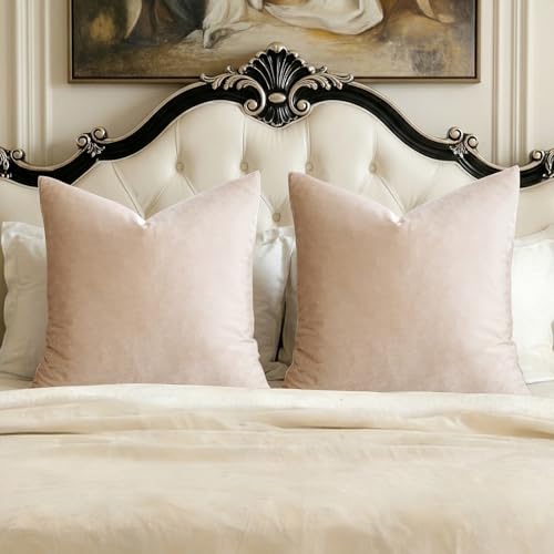 GIGIZAZA Velvet Pillow Covers 26x26 Decorative Pillows Pack of 2 Beige - color: Champagne, size: 26" x 26" (Pack of 2)