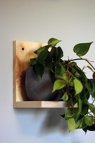 Daniel's Plants Indoor Plant Wall Gallery Shelf Kit | Midcentury Modern Wooden Shelves | Wall Mounted L Shaped Floating Plant Shelves | Solid Wood | 3 Pack (Natural - Unstained) - color: Natural - Unstained