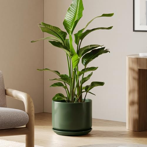 LE TAUCI 12 Inch Pots for Plants, Ceramic Planter with Saucer, Forest Green - color: Forest Green, size: 12"