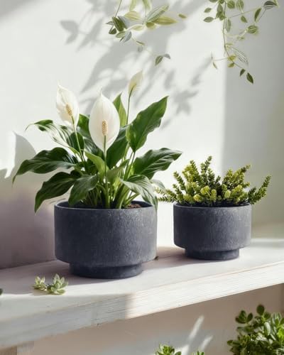 Succulent Pots, 8"+6" Plant Pots, Ceramic Planters for Indoor Plants - color: Black