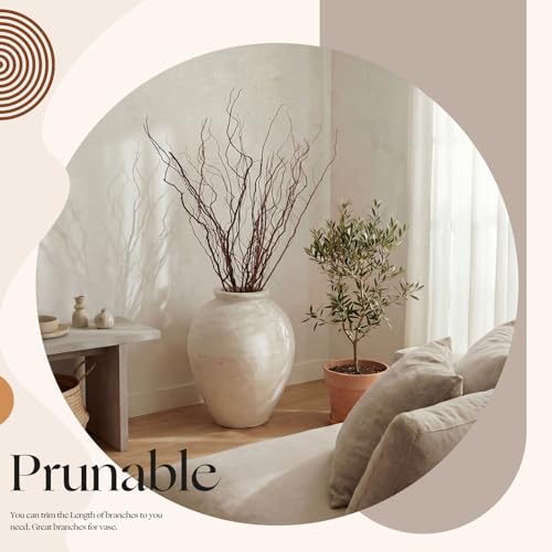 Thiccywoov 12 Pcs Real Dried Willow Branches 38 Inches Natural Curly - color: Natural, size: 38 Inches