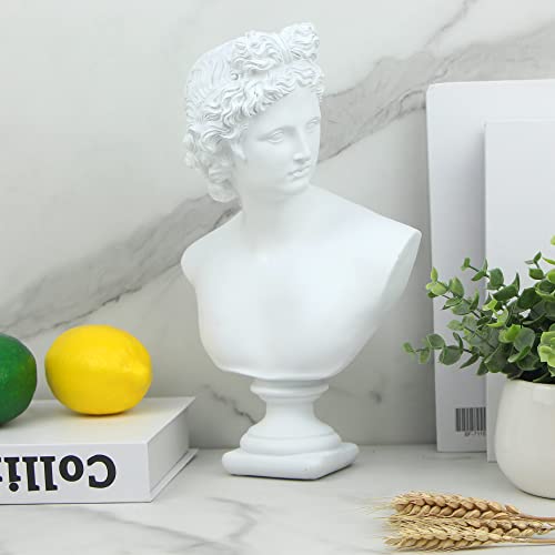 Norrclp 12.6in Greek Statue of Apollo, Classic Roman Head Bust - color: Apollo-12.6in
