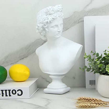 Norrclp 12.6in Greek Statue of Apollo, Classic Roman Head Bust - color: Apollo-12.6in