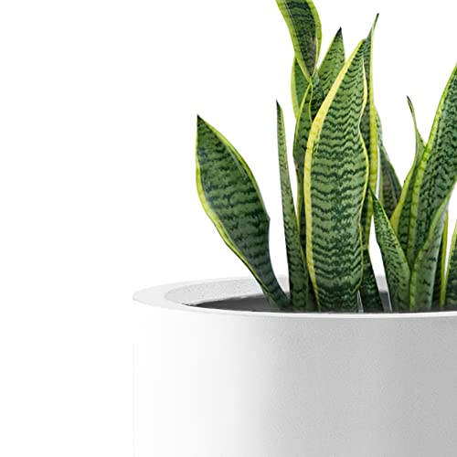 Kante RC0119ABC-C80011 Set of 3 Lightweight Concrete Modern Cylinder Outdoor Planters, 15.8, 12.9 and 9.8 Inch Diameter, Pure White - color: Pure White, size: 9.8",12.6",15.7" Dia