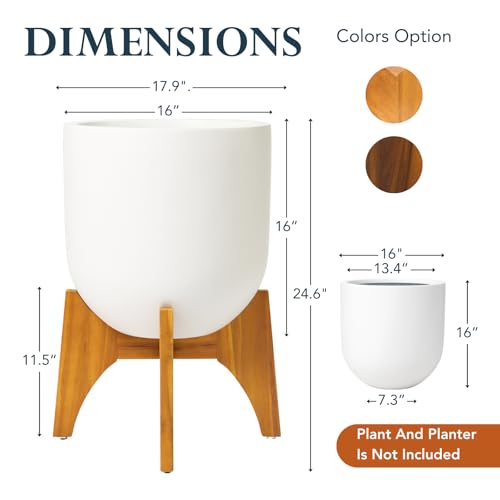 KUTE NEST 11.5" H x 17.9" W Acacia Solid Wood Plant Stand - Golden Teak - color: Golden Teak, size: Low - Medium - 11.5"H x 17.9"W