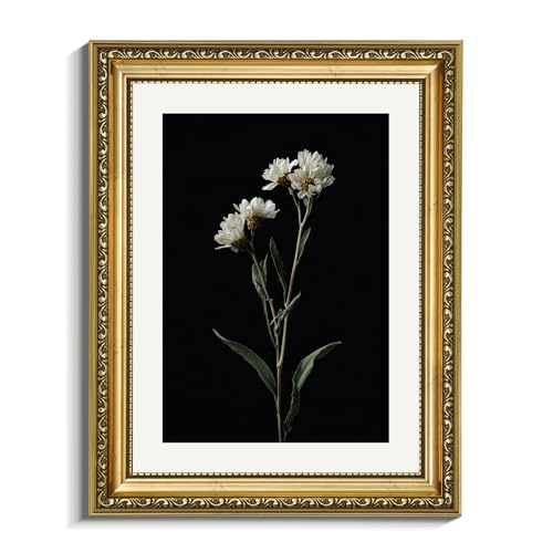 VIYYIEA Gold Framed Dark Floral Wall Art, Minimalist White Wildflower on Black Canvas, Moody Vintage Still Life Botanical Artwork for Living Room Bedroom Home Decor, 11x14 Inch - color: Single Daisy, size: 14"L x 11"W