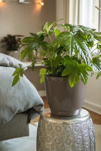 Lechuza 16045 Classico LS 28 Self-Watering Planter, Shiny Taupe High Gloss - color: Shiny Taupe, size: D28 H26 cm